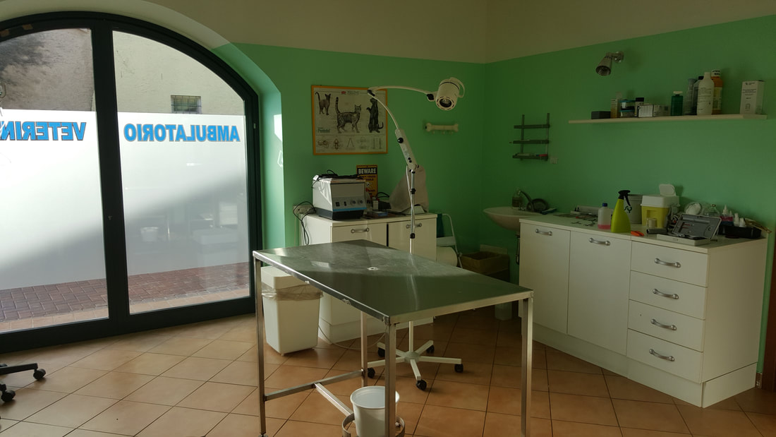 interno ambulatorio